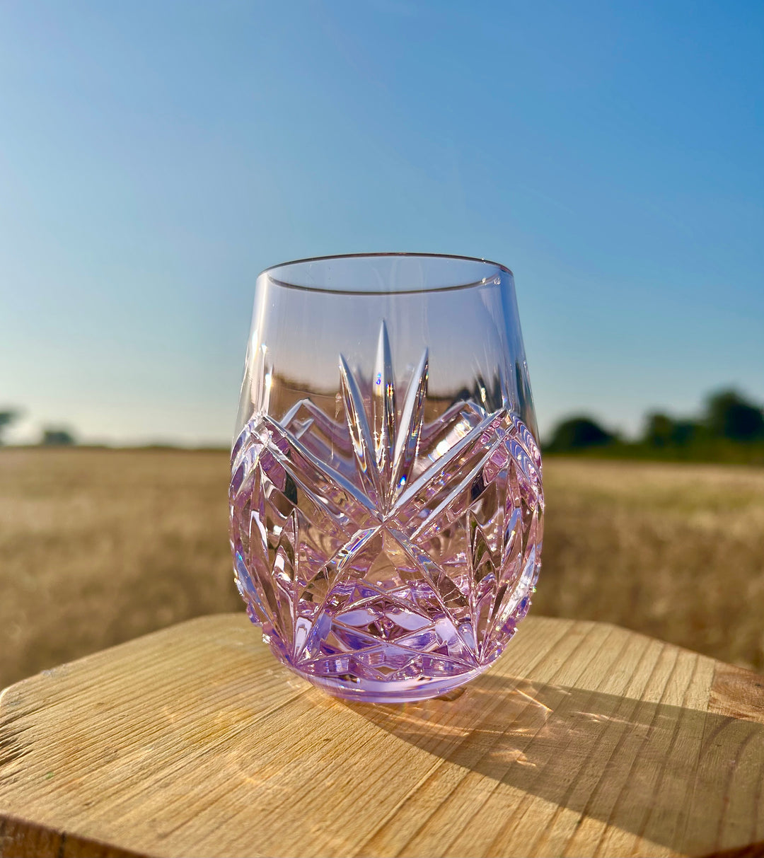 Rosé Pink Roly Tumbler Pineapple