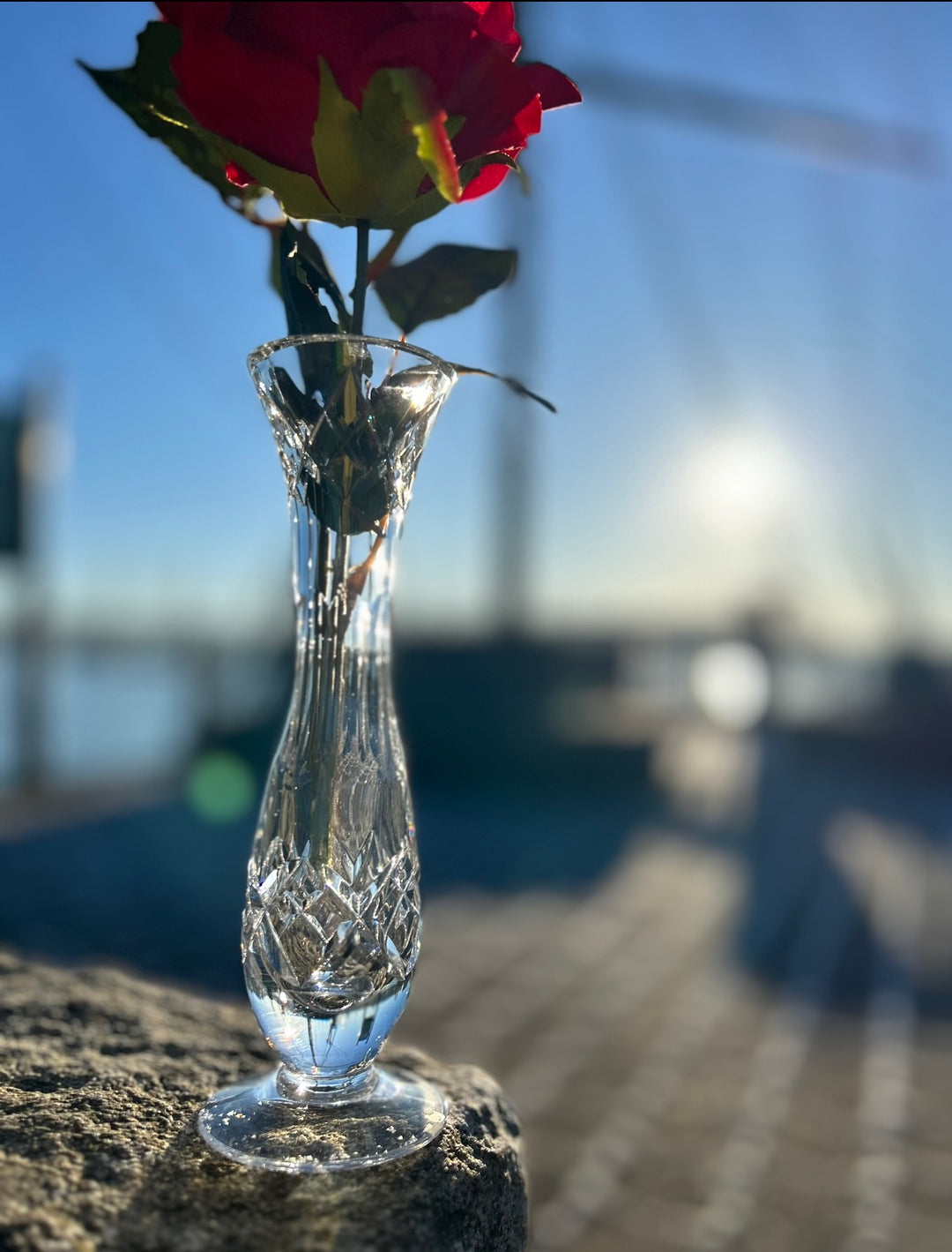 7” Belle Bud Vase