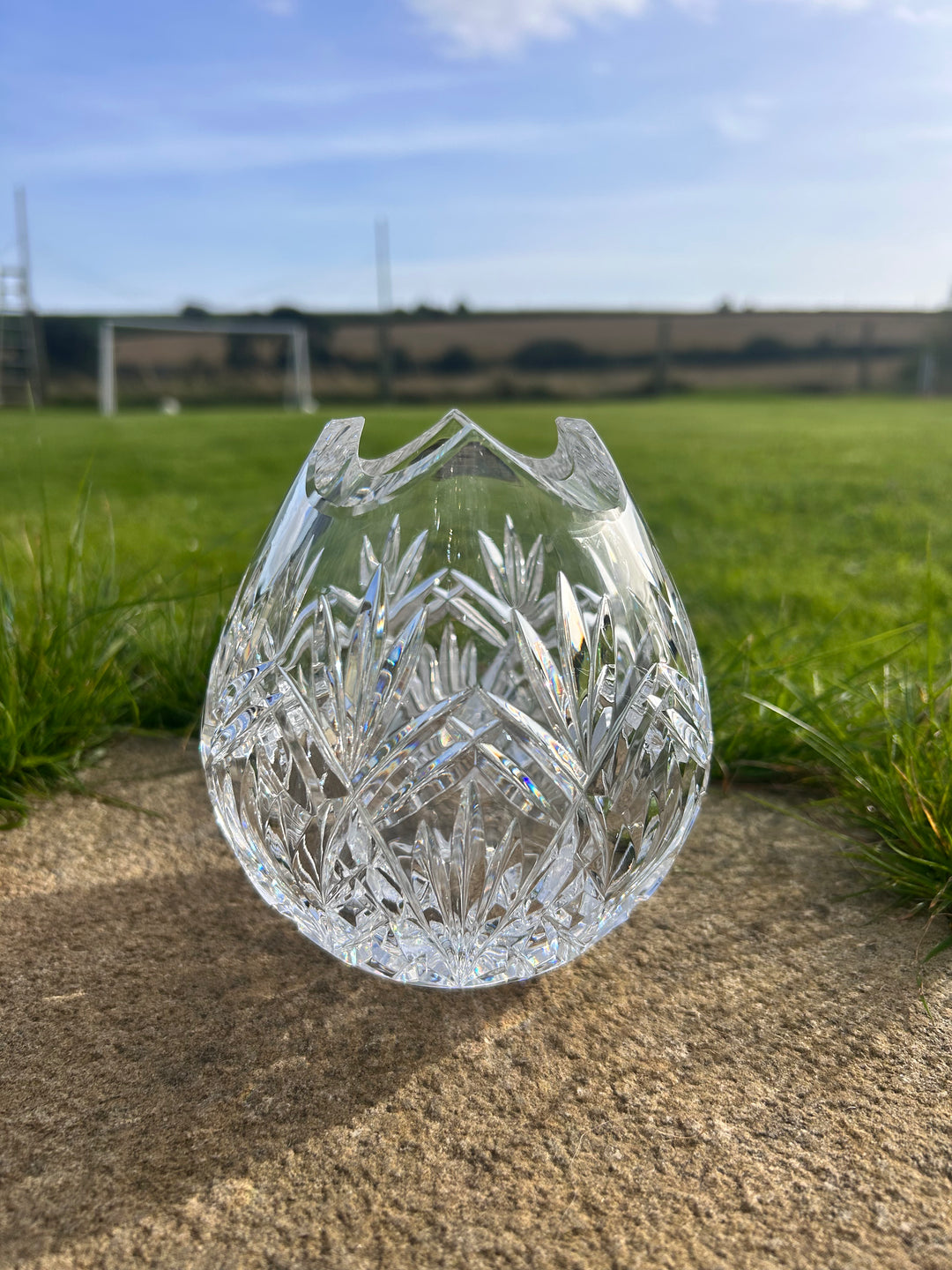 Clear pineapple net