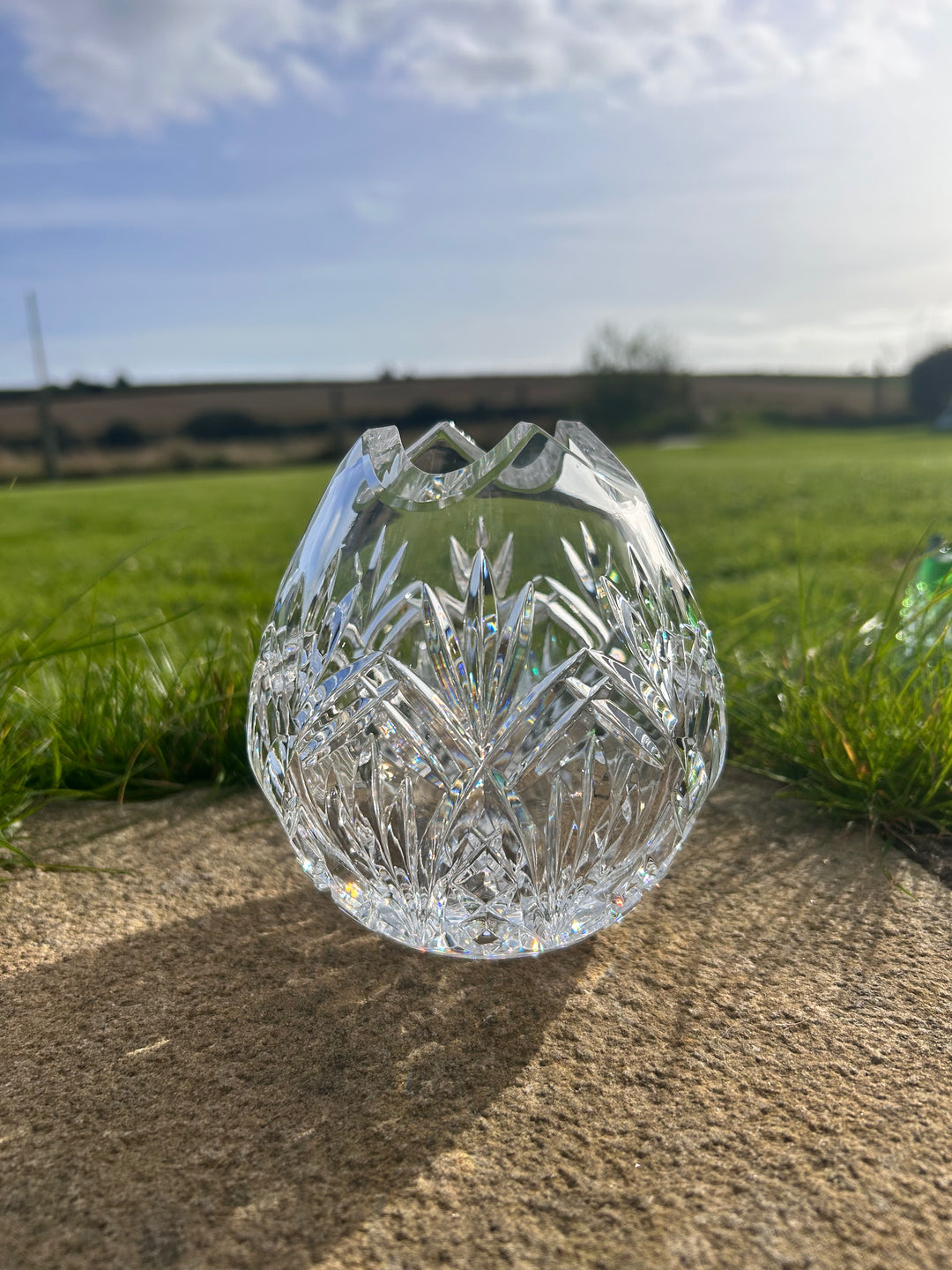 Clear pineapple net