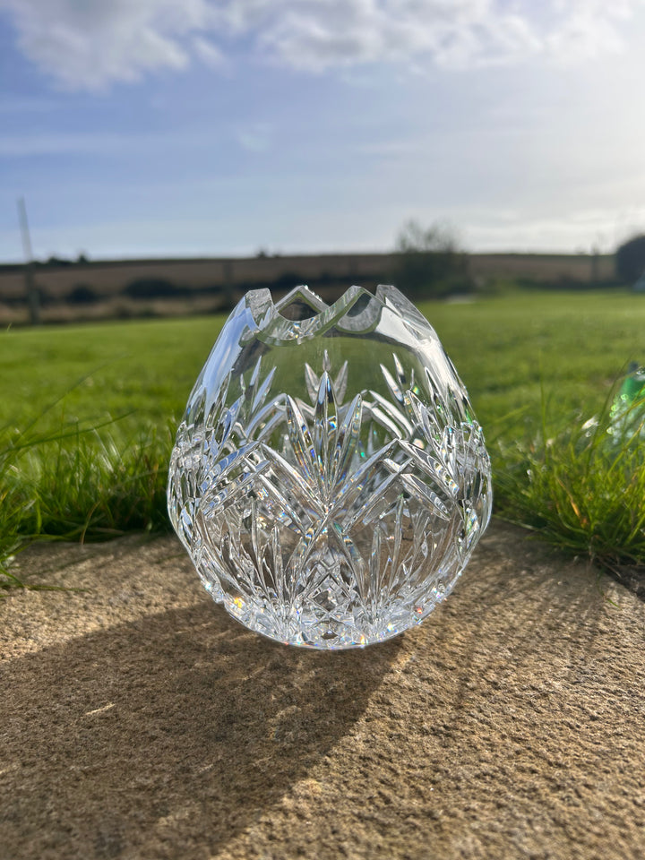 Clear pineapple net